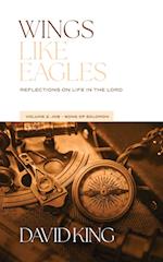 Wings Like Eagles Vol. 2: Vol. 2: Reflections on Life in the Lord - Volume 2 