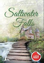 Saltwater Falls 