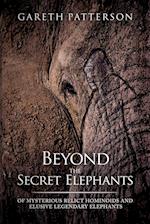 Beyond the Secret Elephants 