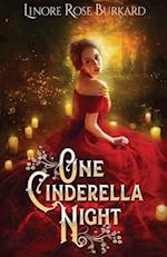 One Cinderella Night