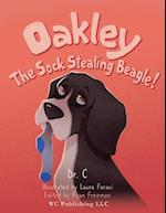 Oakley the Sock Stealing Beagle! 