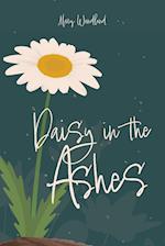 Daisy in the Ashes