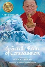 A Gentle Rain of Compassion 