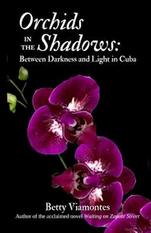Orchids in the Shadows: Between Darkness and Light in Cuba