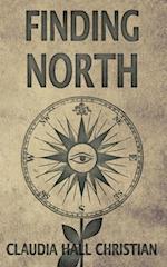 Finding North: an Alex the Fey thriller 