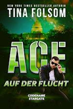 Ace - Auf der Flucht