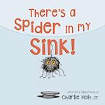 There's a Spider in my Sink!