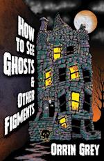 How to See Ghosts & Other Figments 