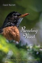 Reading Wind