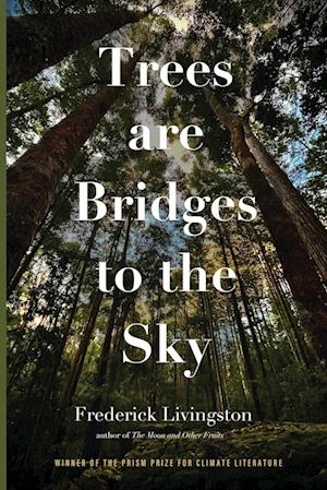 Trees are Bridges to the Sky