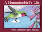 A Hummingbird's Life 