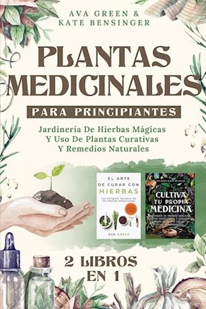 Plantas Medicinales Para Principiantes