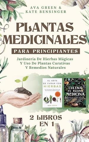 Plantas Medicinales Para Principiantes