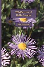 Wildflowers of Hells Canyon 