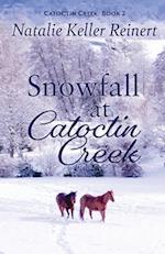 Snowfall at Catoctin Creek 
