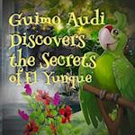 Guimo Audi Discovers the Secrets of El Yunque 