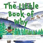 The Little Book of Why 