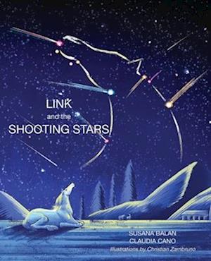 Link and the Shooting Stars