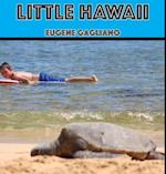 Little Hawaii 