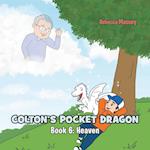 COLTON'S POCKET DRAGON Book 6