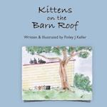 Kittens on The Barn Roof 