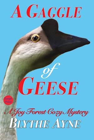 A Gaggle of Geese