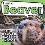 I am a Beaver