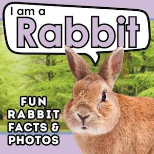 I am a Rabbit