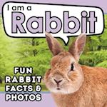 I am a Rabbit