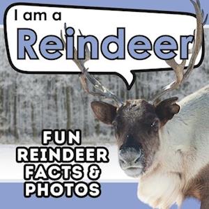 I am a Reindeer