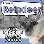 I am a Reindeer