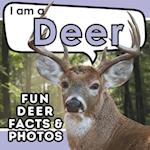 I am a Deer
