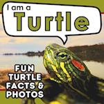 I am a Turtle