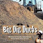 Big Dig Ducks