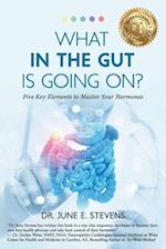 What in the Gut Is Going On?: Five Key Elements to Master Your Hormones 