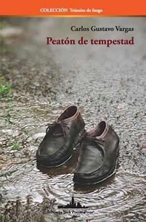 Peatón de tempestad