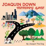 Joaquin Down Memory Lane: A Doggy Adventure 