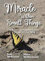 Miracle Within Small Things