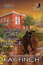 The Black Cat Steps on a Crack 
