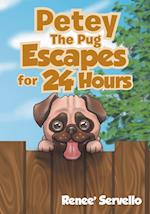 Petey The Pug Escapes For 24 Hours 