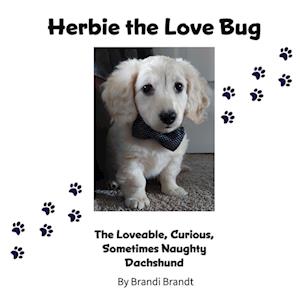 Herbie the Love Bug