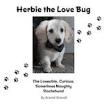 Herbie the Love Bug 