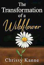 The Transformation of a Wildflower 