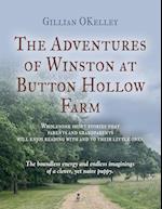 The Adventures of Winston at Button Hollow Farm