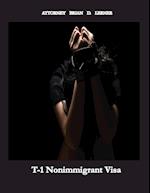 T-1 Nonimmigrant Visa