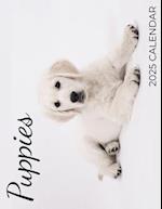 Puppies 2025 Calendar