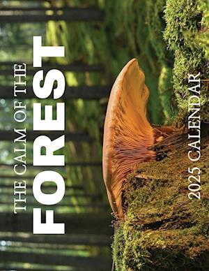 The Calm of the Forest 2025 Calendar