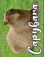 The Capybara Cutie Club 2025 Calendar