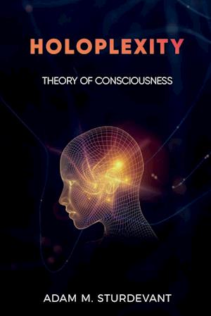 Holoplexity: Theory of Consciousness