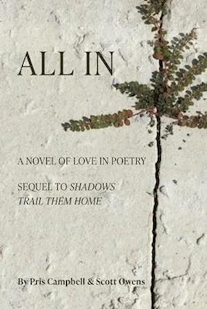 All In: A Novel of Love in Poetry